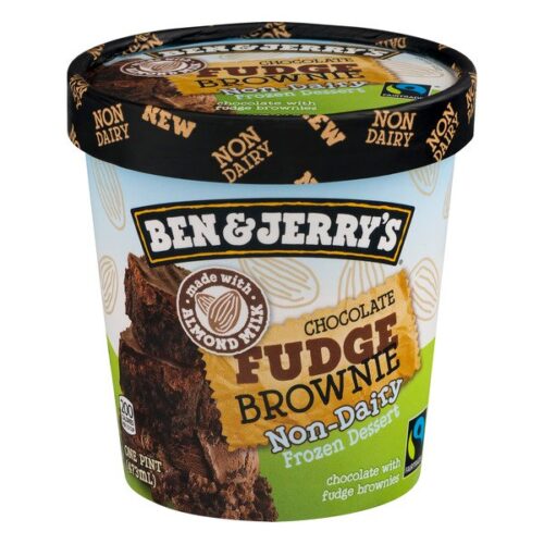 Ben & Jerry’s NonDairy Chocolate Fudge Brownie Ice Cream Shop